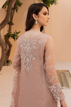 3  Piece Stitched Organza & Raw Silk Suit