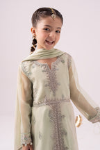 03 Piece  Heavy Embroidered Chiffon Suit - Ready  To Wear