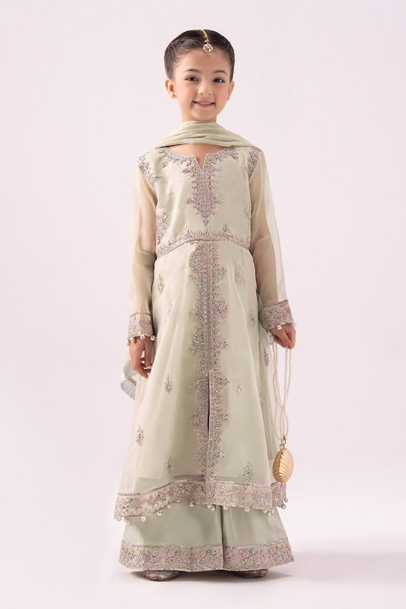 03 Piece  Heavy Embroidered Chiffon Suit - Ready  To Wear