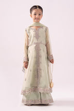 03 Piece  Heavy Embroidered Chiffon Suit - Ready  To Wear
