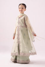 03 Piece  Heavy Embroidered Chiffon Suit - Ready  To Wear
